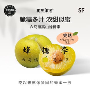 正宗!桃萤津选 贵州六马蜂糖李 镇宁高山核心区 单果60g 礼盒 SF
