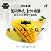 海南山地金煌芒 纯正台湾引种 低纤维纸片核 桃萤津选 礼盒装