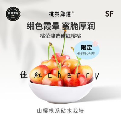 5J果王级！大连佳红樱桃礼盒装