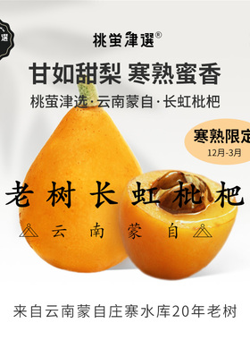 限！桃萤津选 老树长虹甜枇杷 寒熟蜜香 云南蒙自庄寨产 礼盒 SF