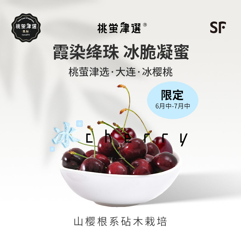稀!桃萤津选 大连冰樱桃 山樱根Bing原种 日光纱棚鲜采礼盒装 SF