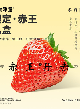 大粒严选！桃萤津选 丹赤®草莓「限定·赤王」礼盒装 原佐贺赤颜