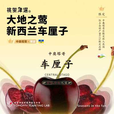 原箱空运！中奥塔哥车厘子礼盒装