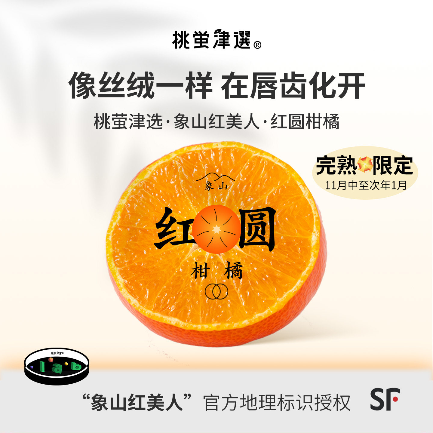 梦幻柑橘！象山红美人柑橘礼盒装