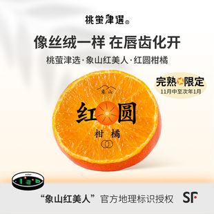 桃萤津选 象山红美人柑橘 日引爱媛28红圆蜜桔 山地产 礼盒装 SF