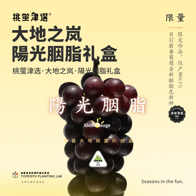 稀！桃萤津选 「大地之岚」阳光胭脂 日引紫色香印麝香葡萄 礼盒