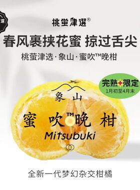 稀！桃萤津选 蜜吹™晚柑 晒透柠檬糖 象山培育日引柑桔 礼盒 SF