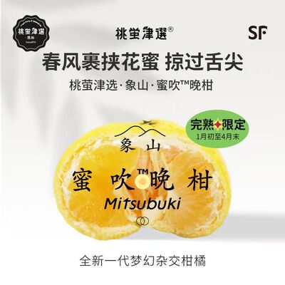 晒透的柠檬糖！蜜吹™晚柑礼盒装