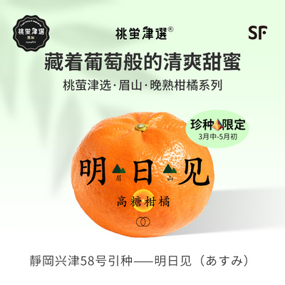 原枝引种！明日见高糖柑橘礼盒装