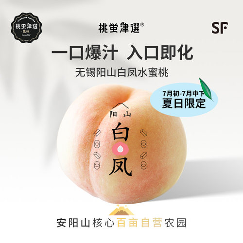 爆汁软桃！阳山白凤水蜜桃礼盒装