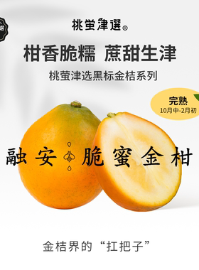 桃萤津选 融安脆蜜金柑 糯香脆甜 正宗小蜜蛋 浮石核心产 礼盒 SF
