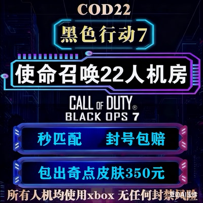 使命召唤人机房代肝迷彩武器等级