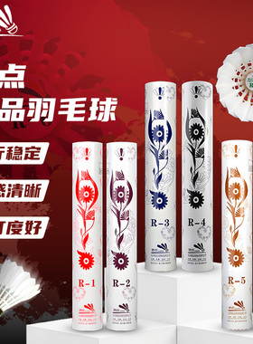 骄点羽毛球正品焦点R1R2R3R4R5R6耐打儿童成人训练比赛球12只装