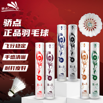 骄点焦点羽毛球R1R2R4R6
