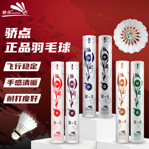 骄点焦点羽毛球R1R2R4R6