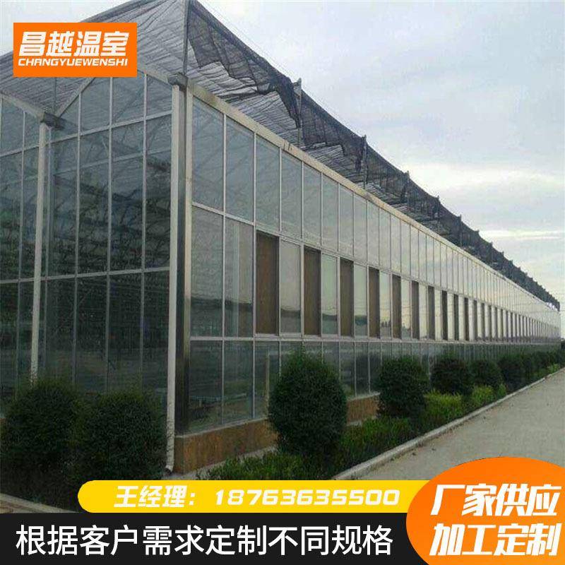 新型玻璃温室热镀锌钢管骨架安装建设施工现场种植草莓蓝莓大棚