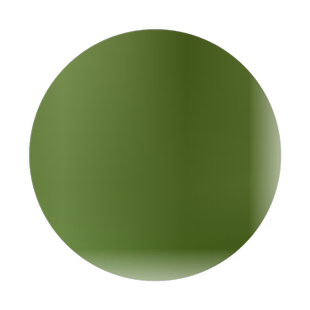 柏树苗松树苗塔柏苗雪松苗蜀快刺柏圣诞树绿化苗侧柏树苗塔柏树苗