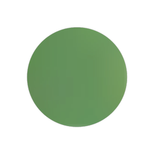 绿化苗木法桐树法国法桐 青皮梧桐法桐苗泡桐树苗行道树木 悬铃木