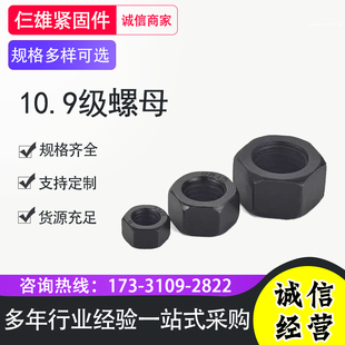 高压耐高温10.9级30CRMO M64 35CRMO化工用螺母GB6170六角发黑M12
