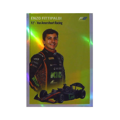 恩佐费迪帕尔蒂F1收藏卡