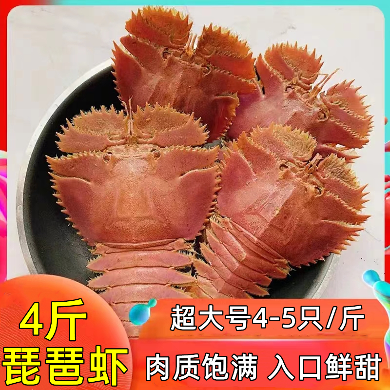 琵琶虾鲜活超大冷冻九齿扇虾