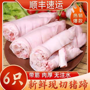 现杀猪蹄超大蹄子散养整只带筋猪脚猪手新鲜农家前蹄冷冻批发整箱
