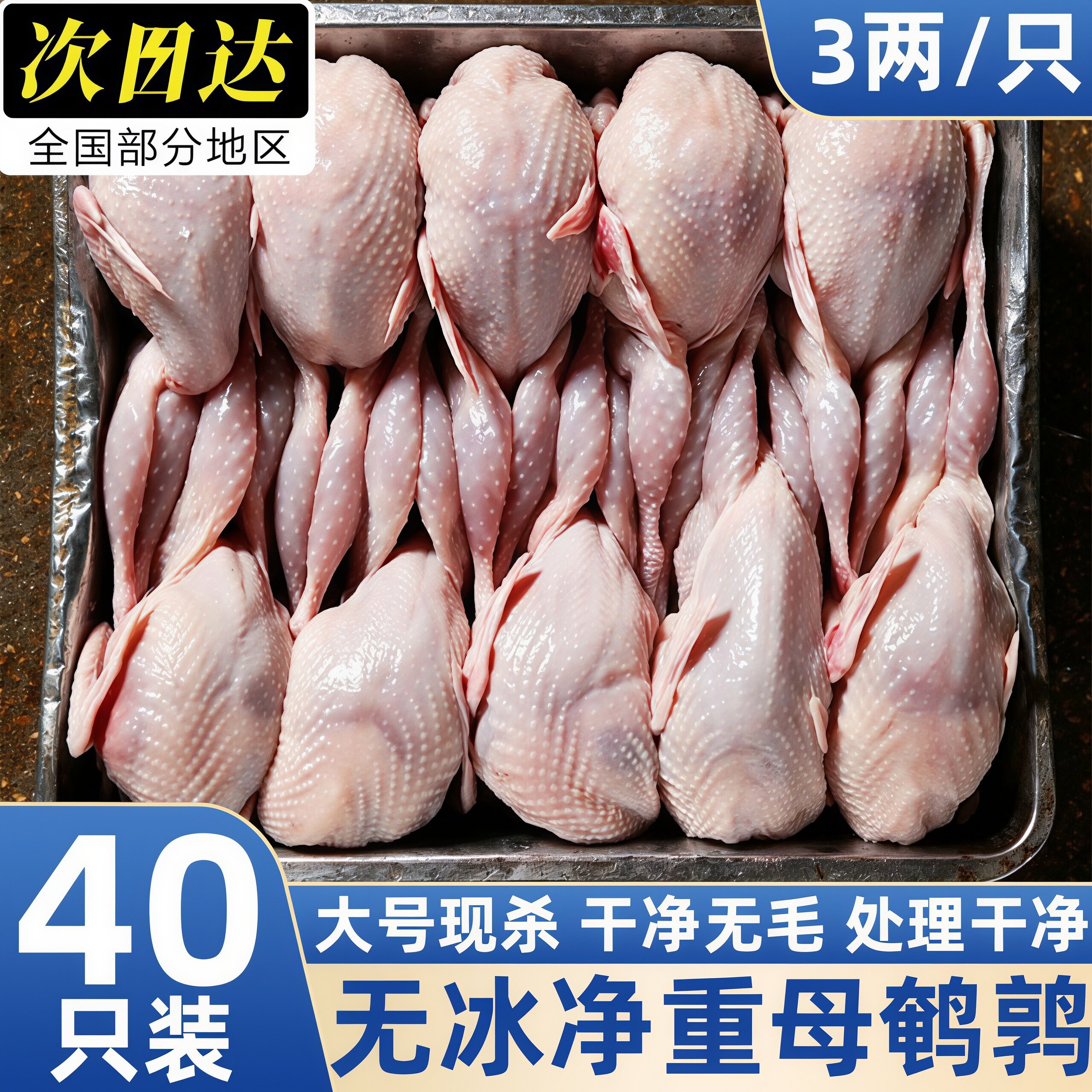 新鲜现杀大母鹌鹑肉冷冻炖汤烧烤