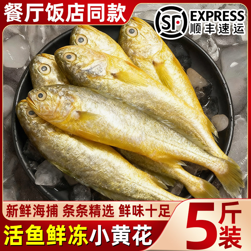 野生冷冻小黄花鱼新鲜鲜活黄鱼海捕黄花鱼海鲜水产整箱批发顺丰