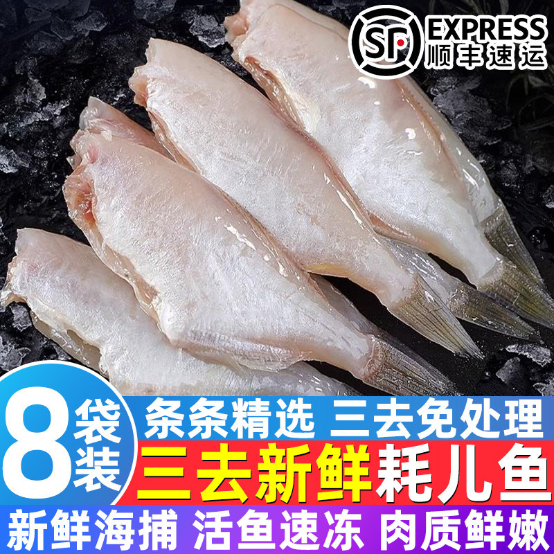 批发小号耗儿鱼海鲜冷冻火锅食材