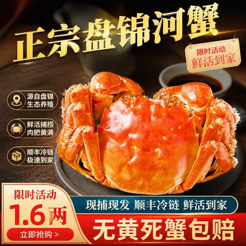 盘锦鲜活大闸蟹带黄顺丰冷链
