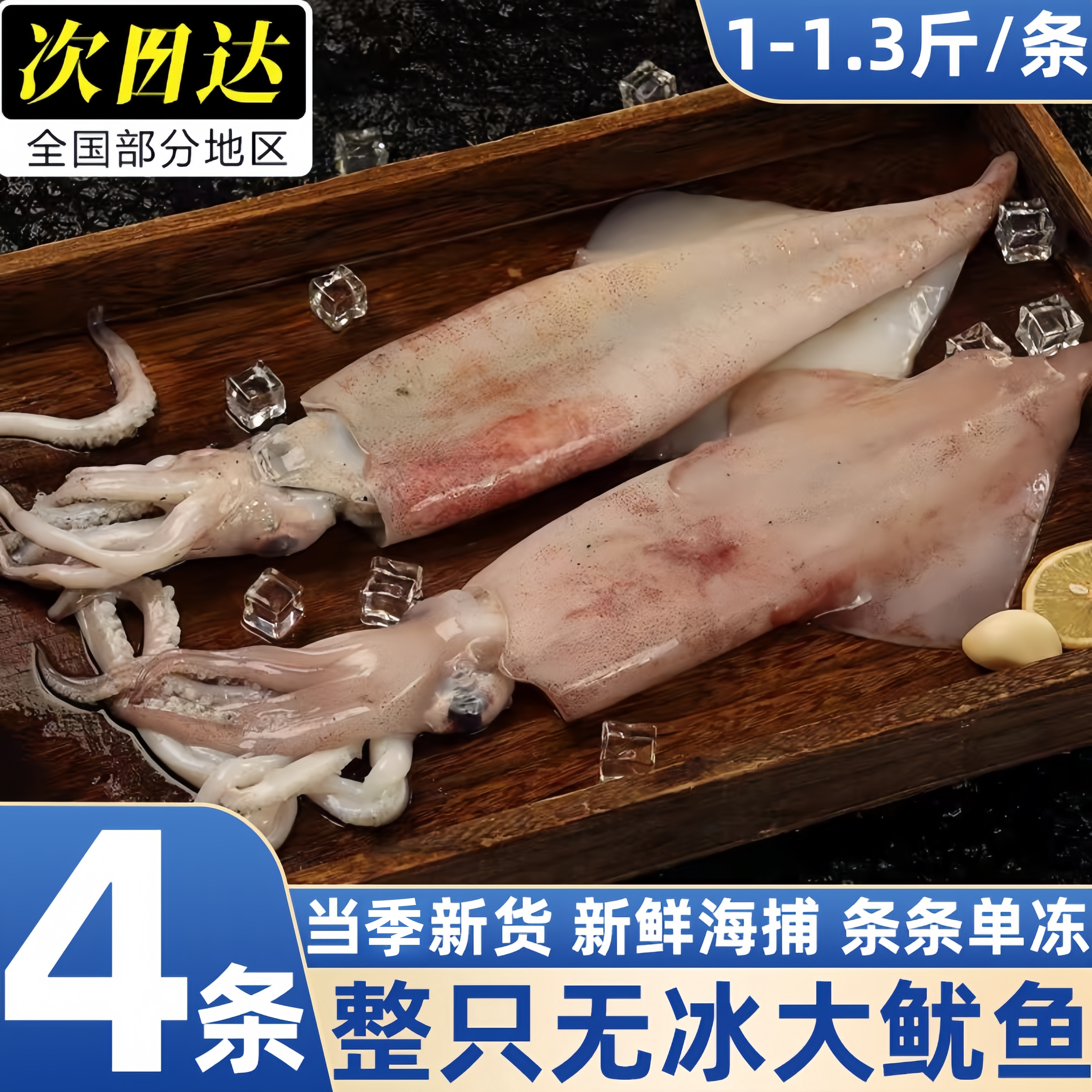 冷冻整只超大鱿鱼铁板烧烤