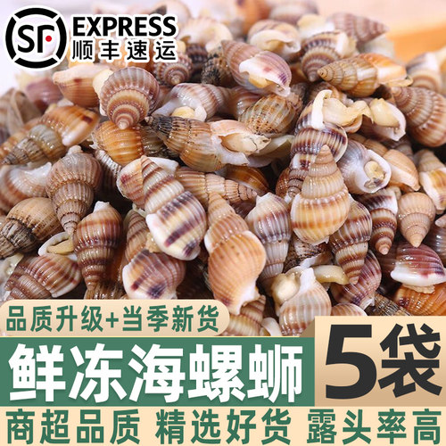 海瓜子新鲜海螺丝鲜冷冻