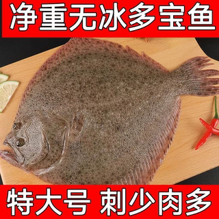 多宝鱼鲜活冷冻八宝鱼超大速冻比目鱼新鲜特大扁口鱼海鲜海鱼水产