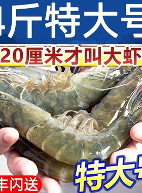 新鲜大虾鲜活超大基围虾青岛大虾特大青虾冷冻白虾海虾类带料包