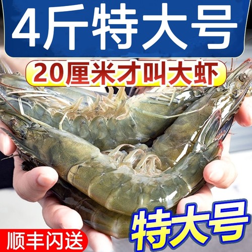 寰球邮鲜青岛特大冷冻海虾带料包