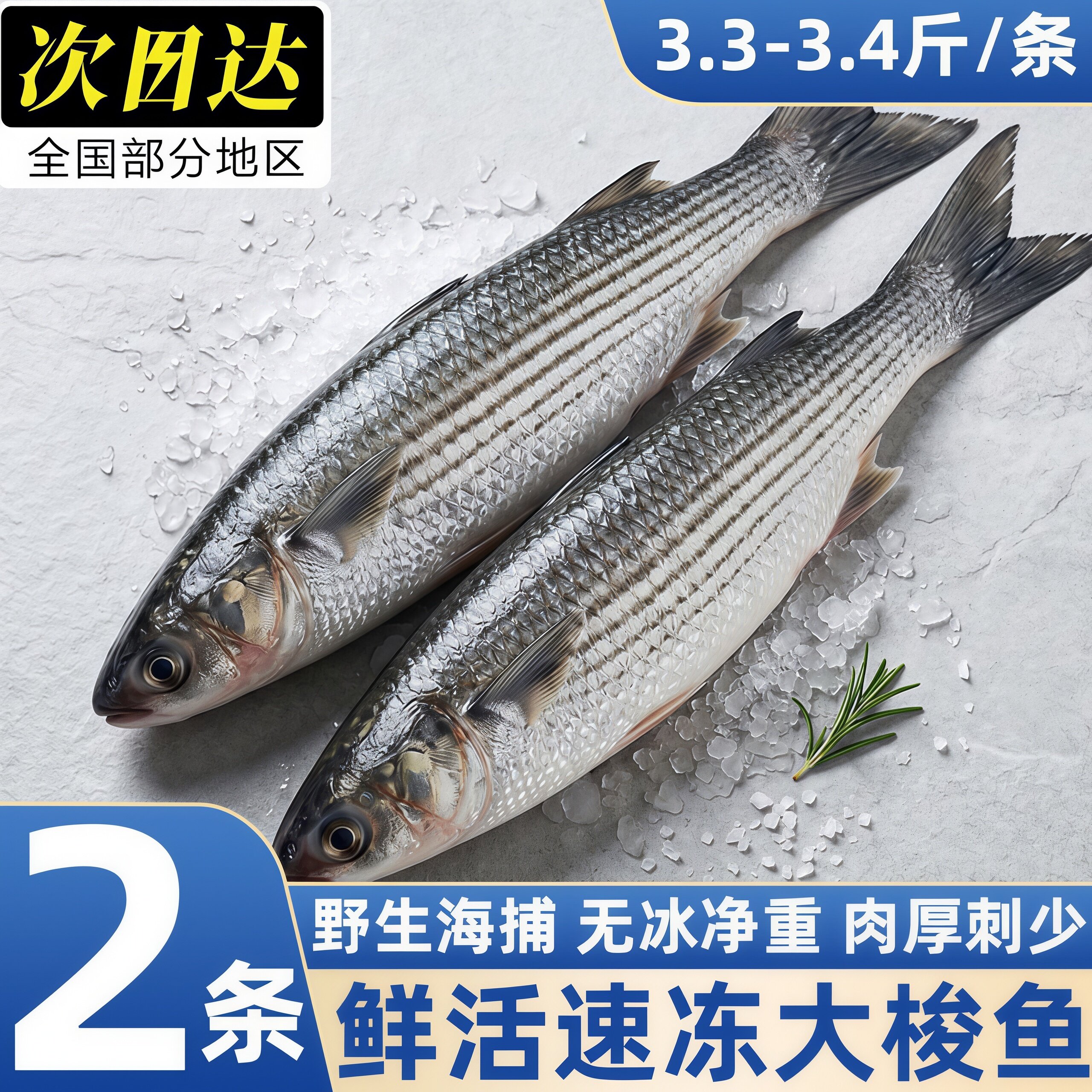山东青岛海捕鲜冻整条大梭鱼