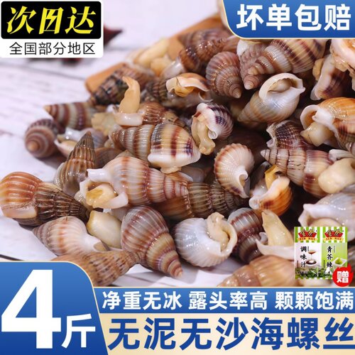 当季新货冷冻海螺丝麻辣带料包