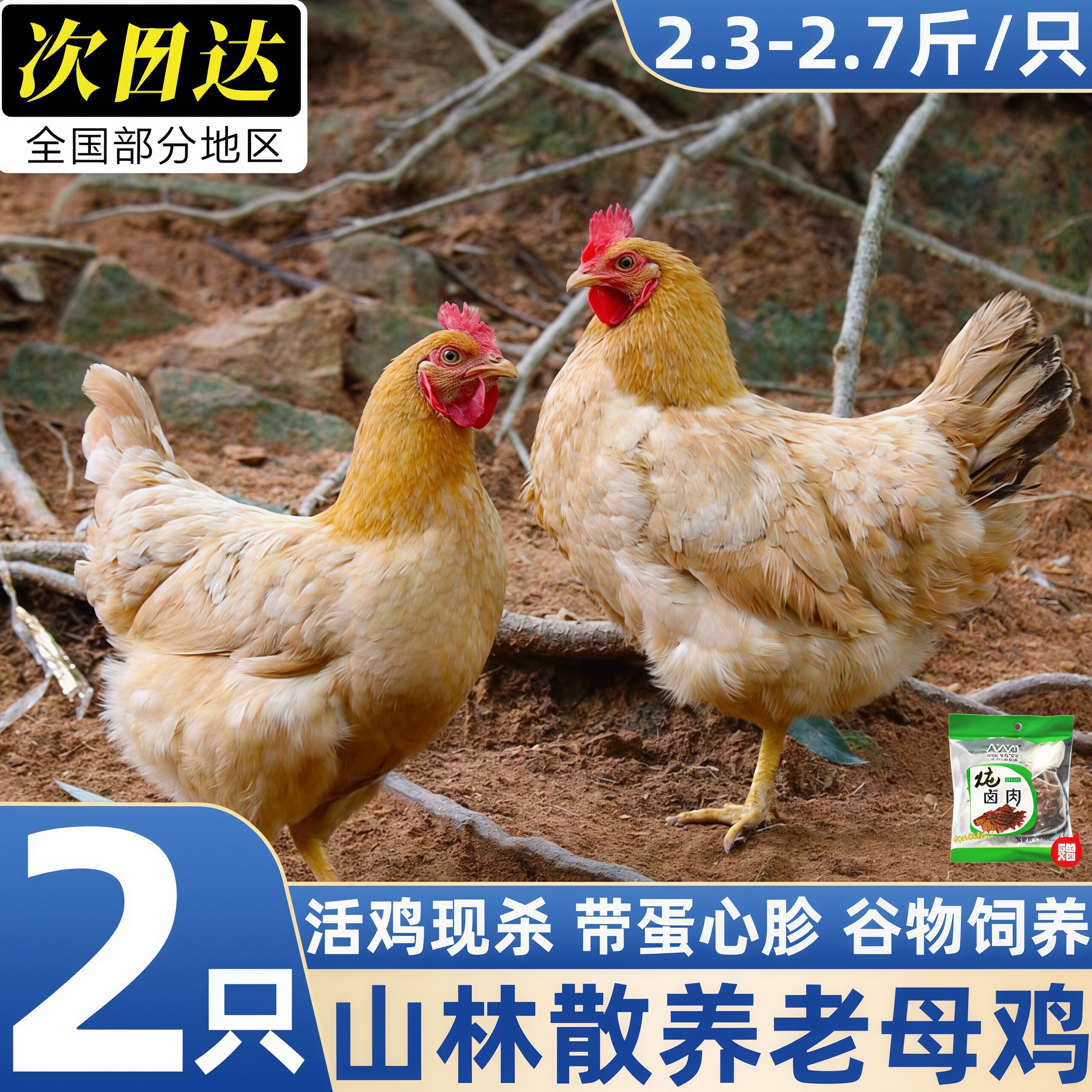 散养土鸡整只老母鸡炖汤下蛋