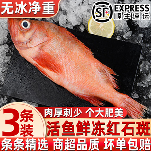 红石斑鱼新鲜鲜活冷冻富贵鱼大眼鱼深海生鲜鱼类顺丰包邮批发