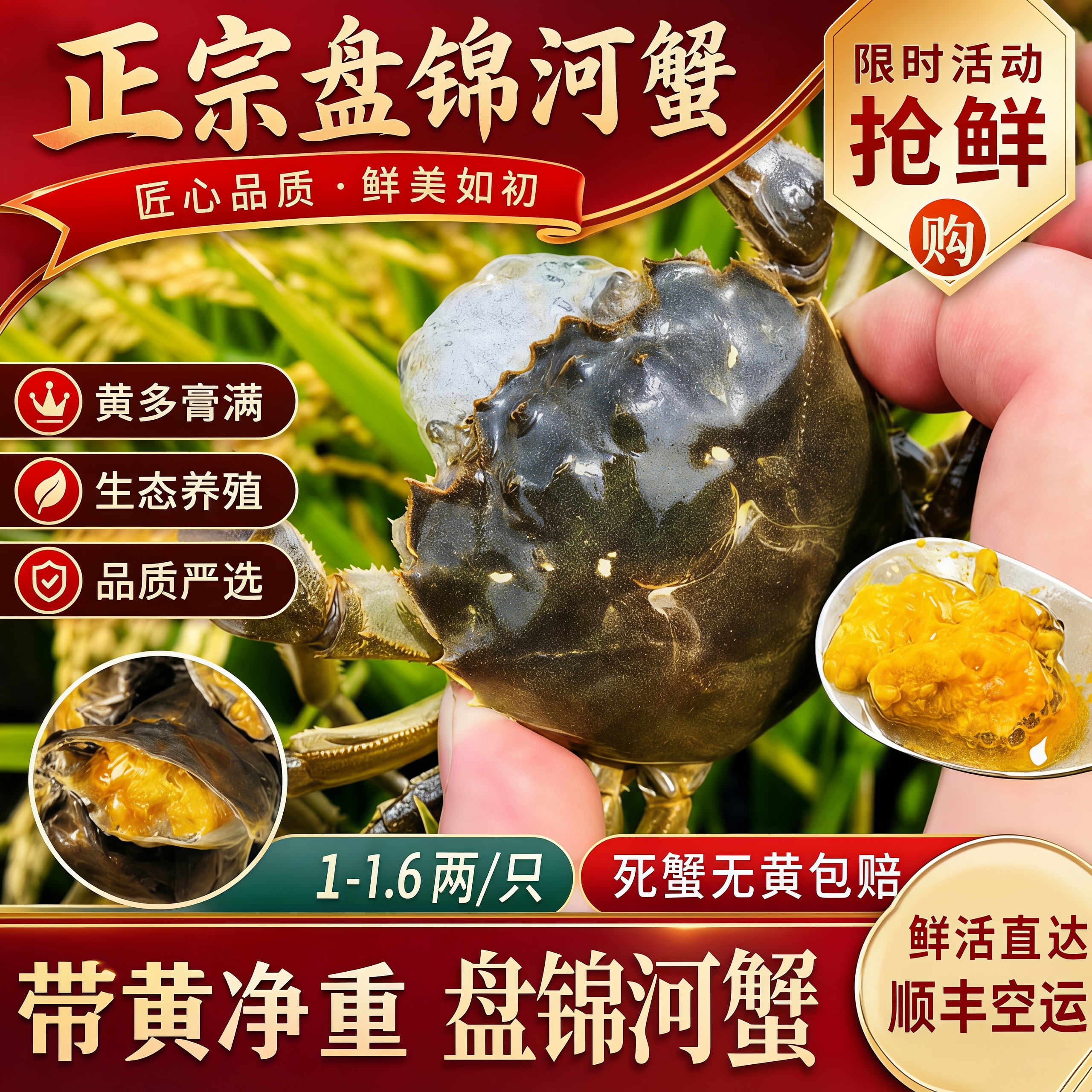 盘锦鲜活母河蟹冷链发货死蟹包赔
