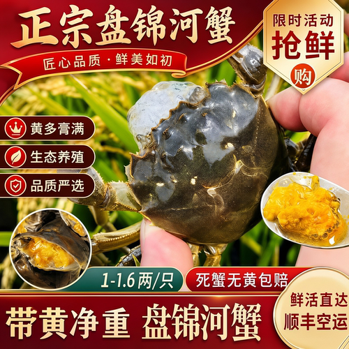 盘锦鲜活母河蟹冷链发货死蟹包赔