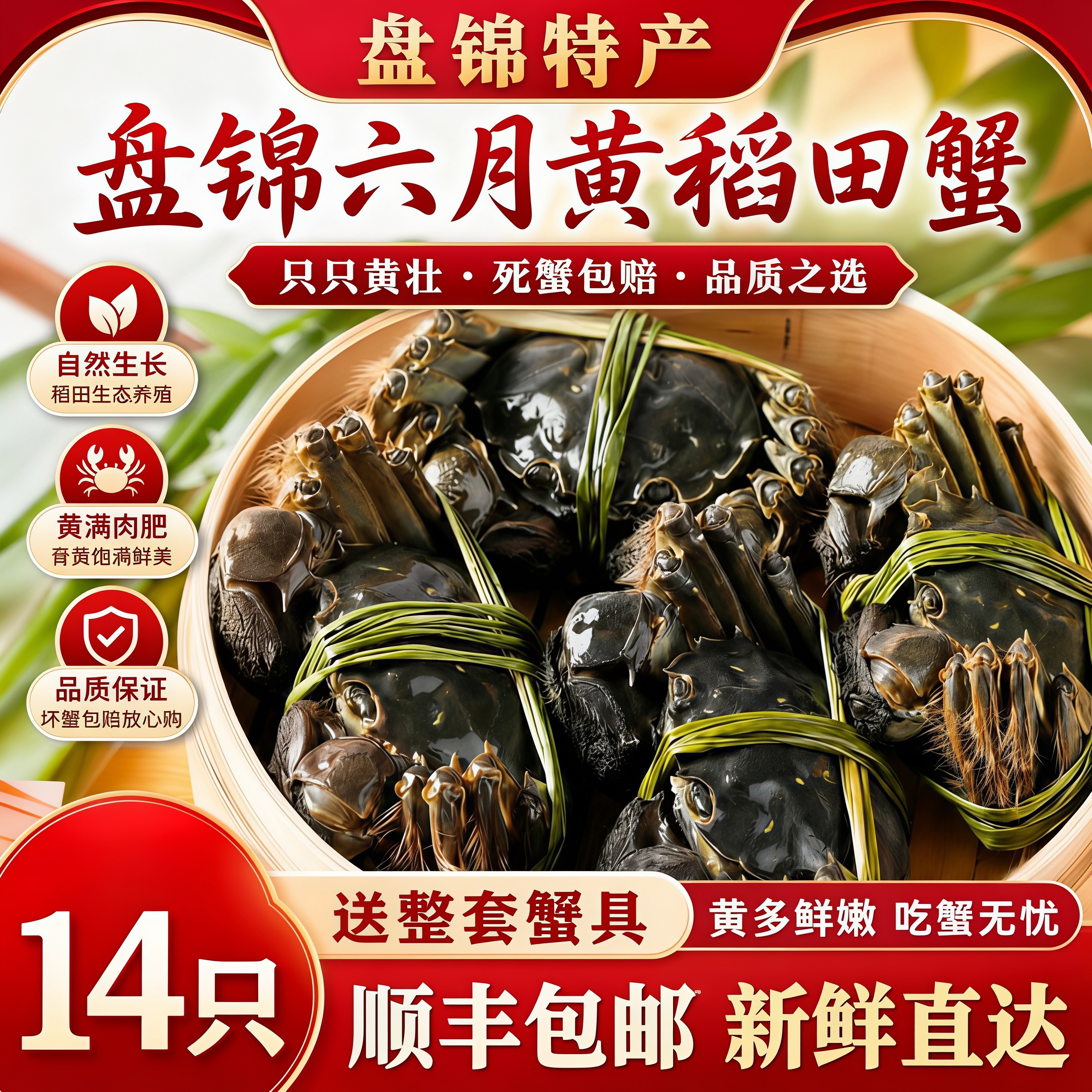 盘锦鲜活六月黄稻田公大闸蟹