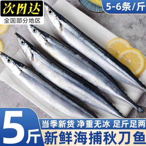 冷冻特大秋刀鱼日式烧烤批发