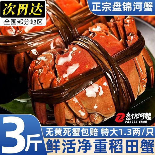 盘锦稻田鲜活母大闸蟹礼盒