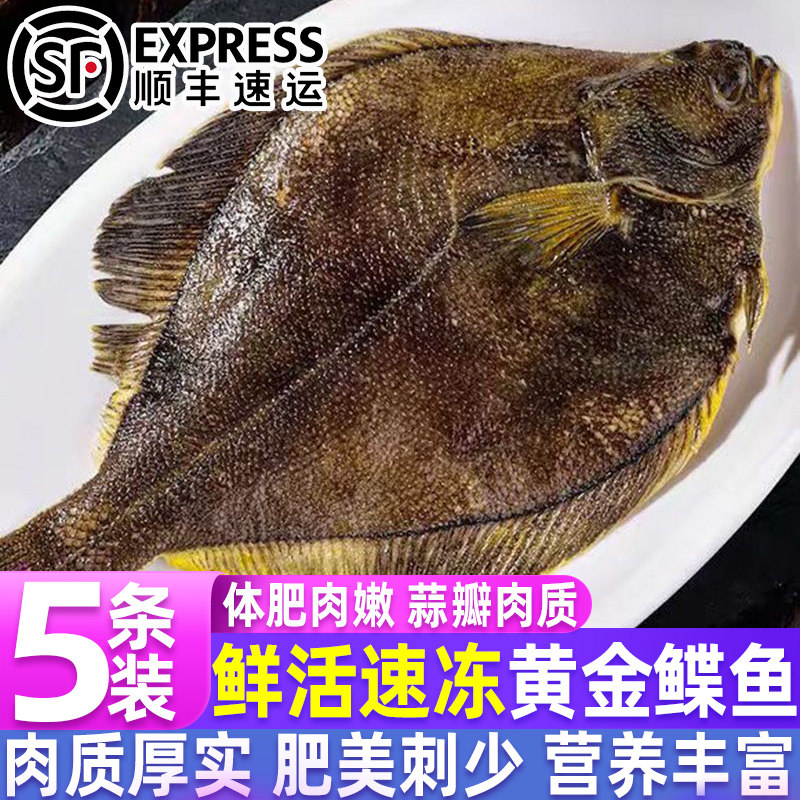 深海船冻鲜冻黄金鲽鱼整条带头