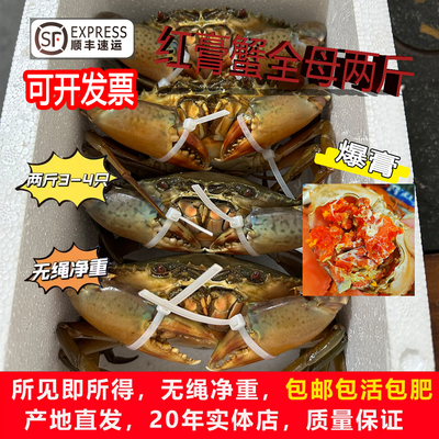 红膏蟹鲜活公母搭配红鲟膏蟹