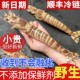 大九节虾超大斑节虾竹节虾大虾海鲜鲜活速冻生腌白灼 福建本港