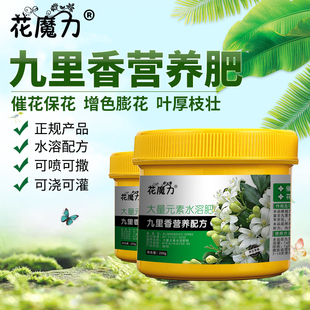 九里香专用肥石辣椒九秋香九树香七里香千里香盆栽盆景家水溶肥料