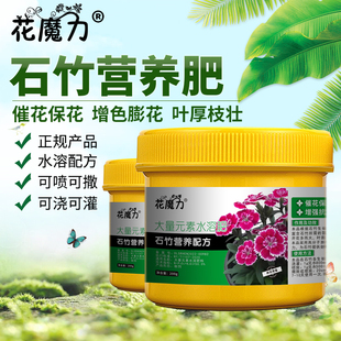 石竹花专用营养肥铅笔屑花洛阳花石柱花初吻花五彩石竹四季养护肥