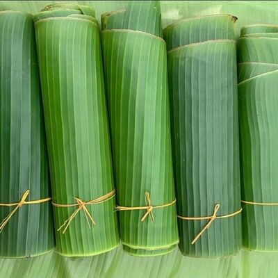 新鲜芭蕉叶1斤当季现摘垫盘泼水粑粑做糍粑粽子傣式包烧烤鸡包邮